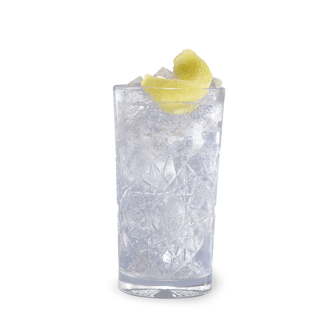 Gin Tonic 0,3l