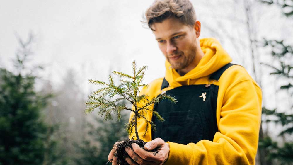 Mann pflanzt Baum