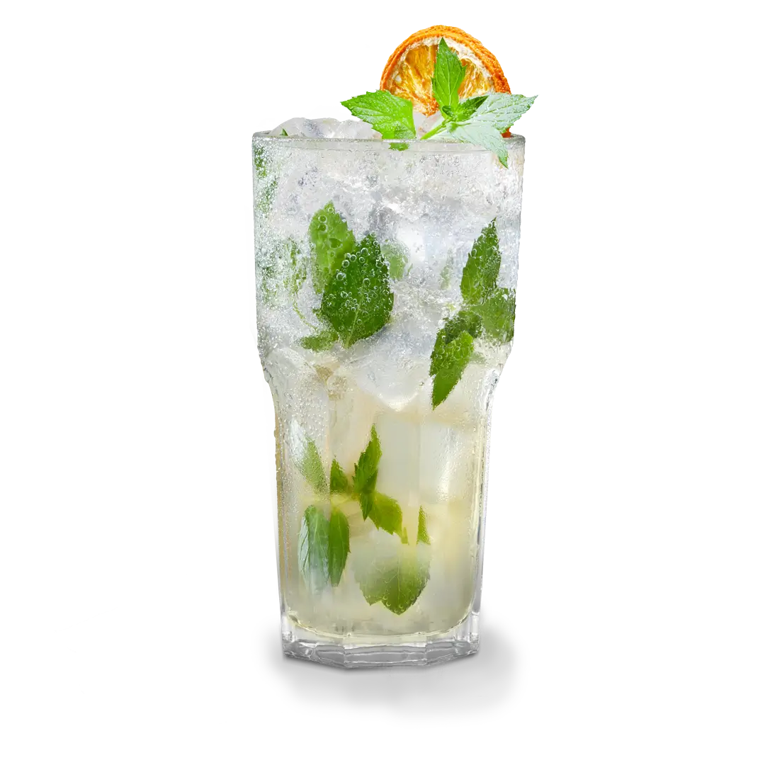 Durstlöscher Holunder Minze ZERO