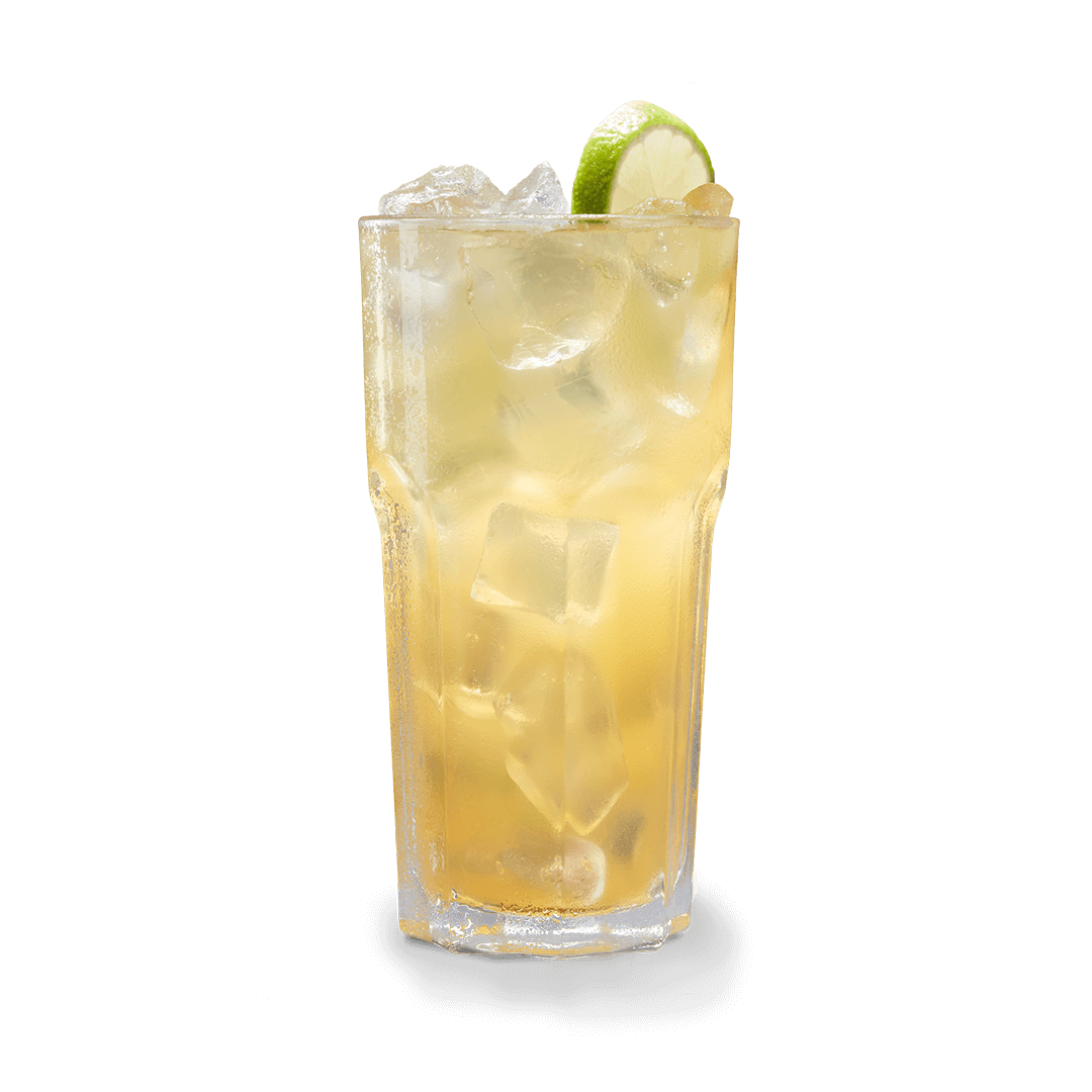 Iced tea Lemon-Mango 0,5l