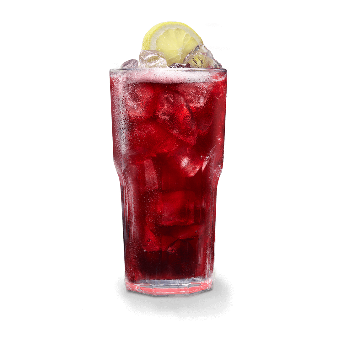 THIRST QUENCHER Blueberry 0,5l