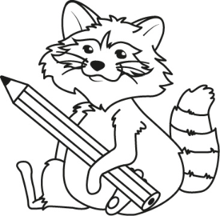 Waschbär mit Bleistift