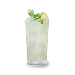 Moskow Mule 0,3l
